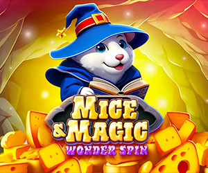 Mice & Magic Wonder Spin