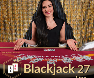 Blackjack VIP 27