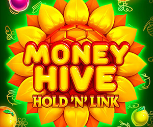 Money Hive Hold n Link