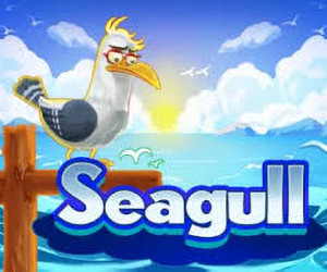 Seagull