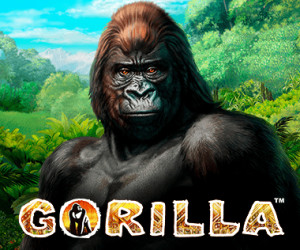 Gorilla