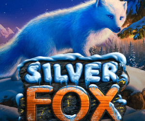 Silver Fox