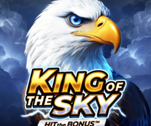 King of the Sky: Hit the Bonus